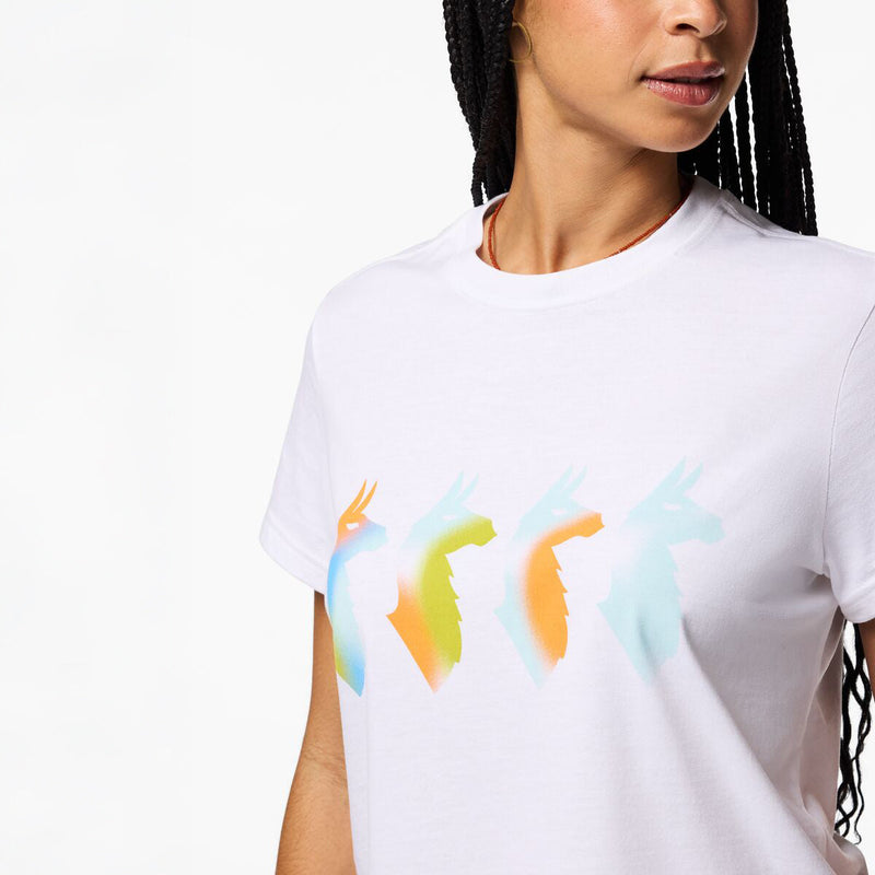 Cotopaxi - Cuatro Bitmap T-Shirt - Womens