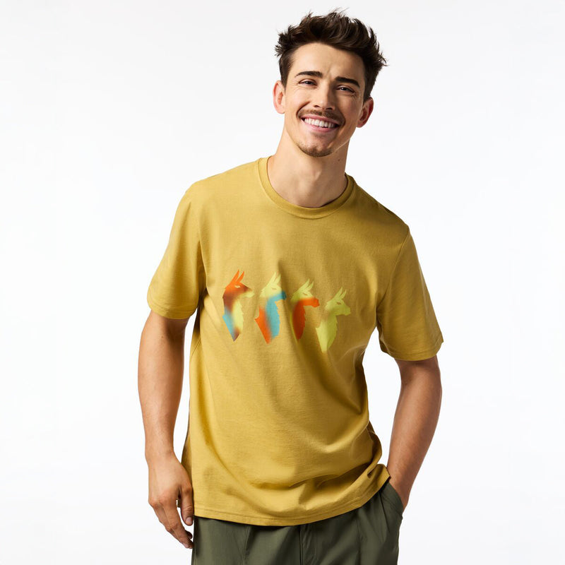 Cotopaxi - Cuatro Bitmap T-Shirt - Mens