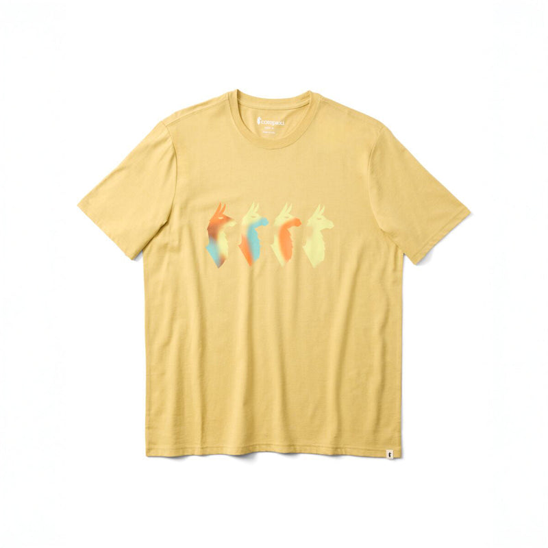 Cotopaxi - Cuatro Bitmap T-Shirt - Mens
