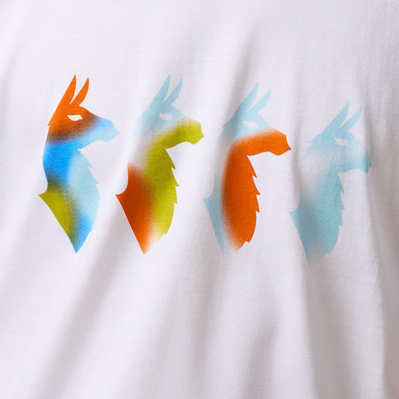 Cotopaxi Cuatro Bitmap T-Shirt - Mens