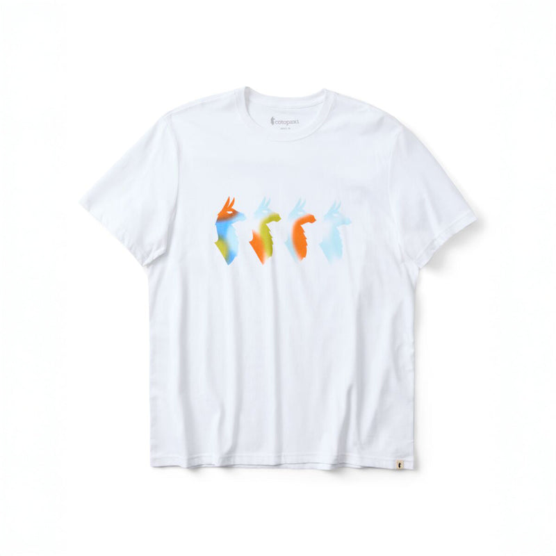Cotopaxi Cuatro Bitmap T-Shirt - Mens
