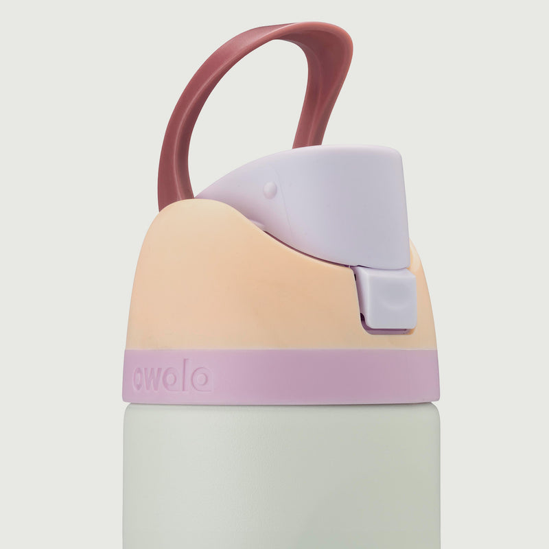 Owala FreeSip® 24-oz. Stainless Steel